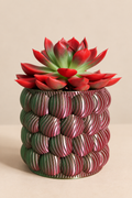 Jardinière Murale | Cache-Pot Design