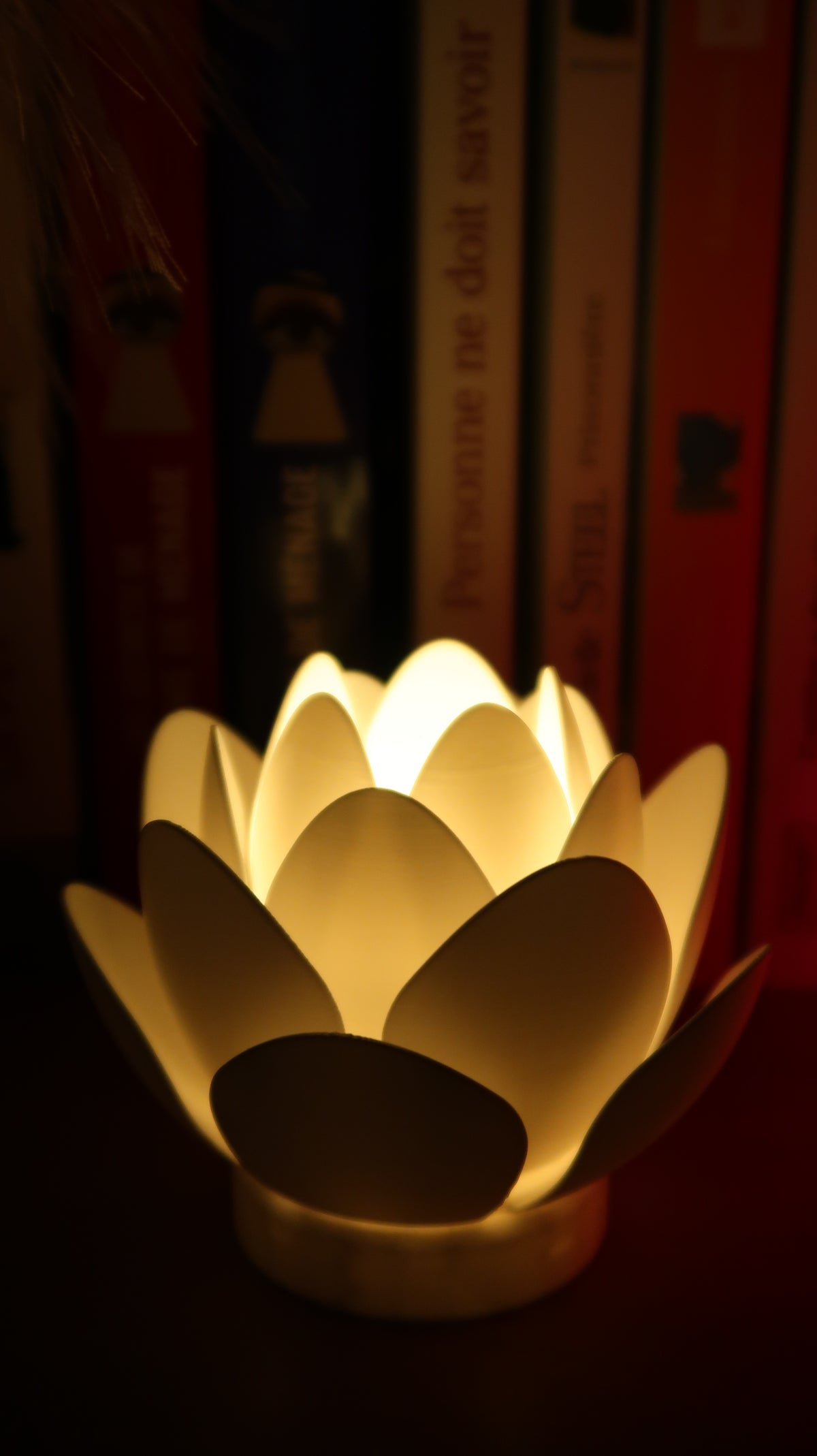 Fleur de Lotus Lumineuse