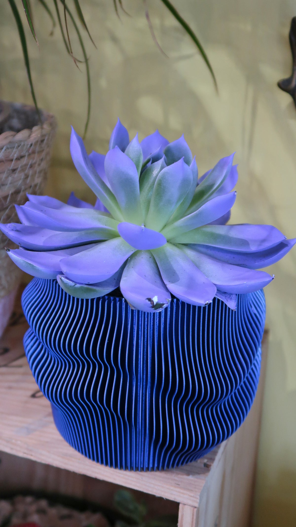 Jardinière Cache-Pot Japandi