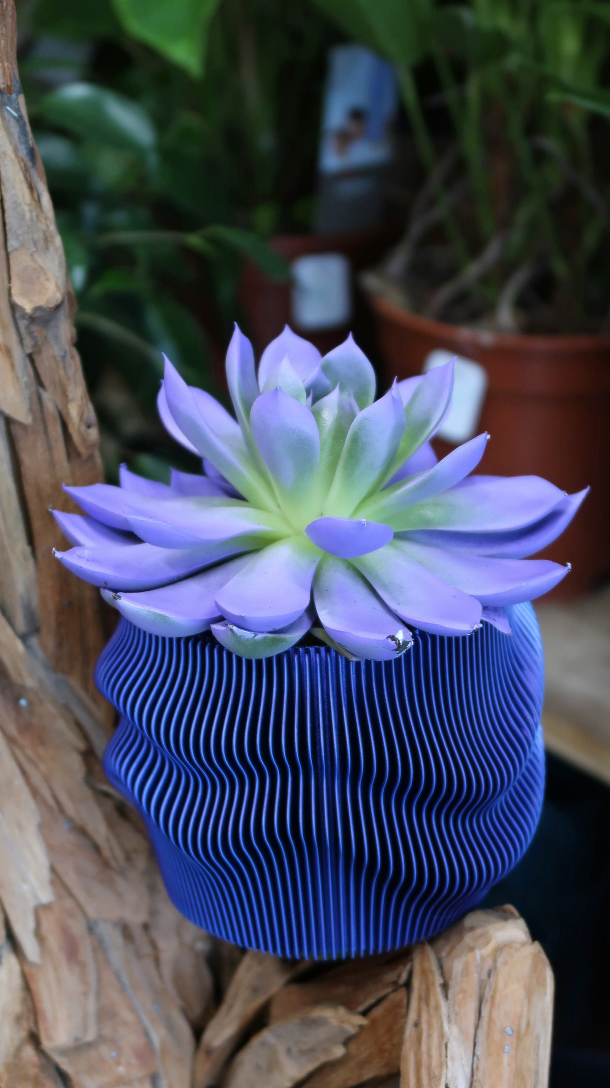 Jardinière Cache-Pot Japandi