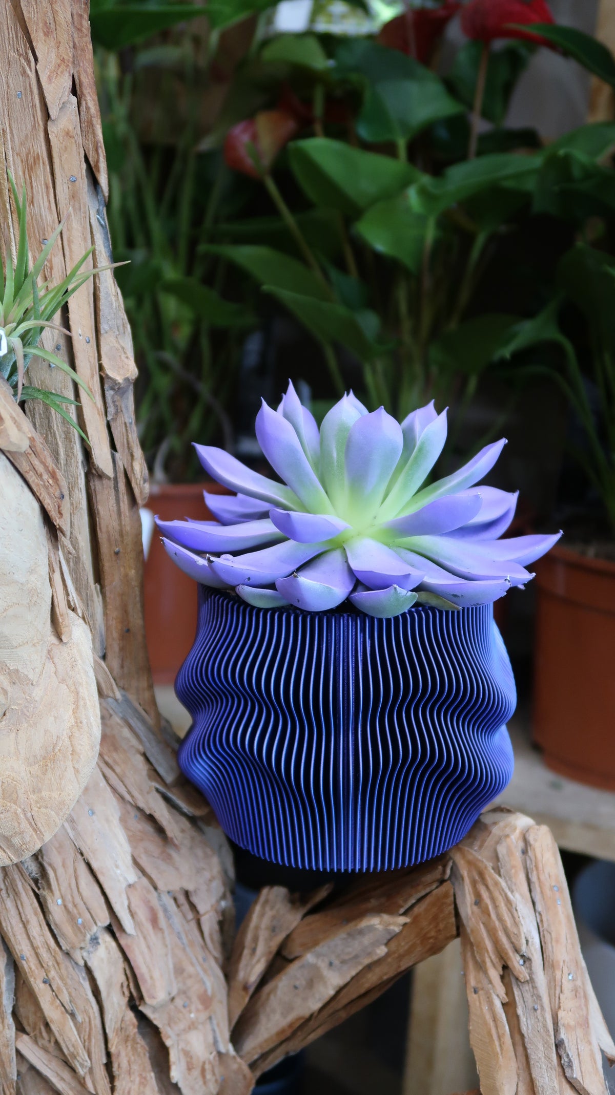 Jardinière Cache-Pot Japandi
