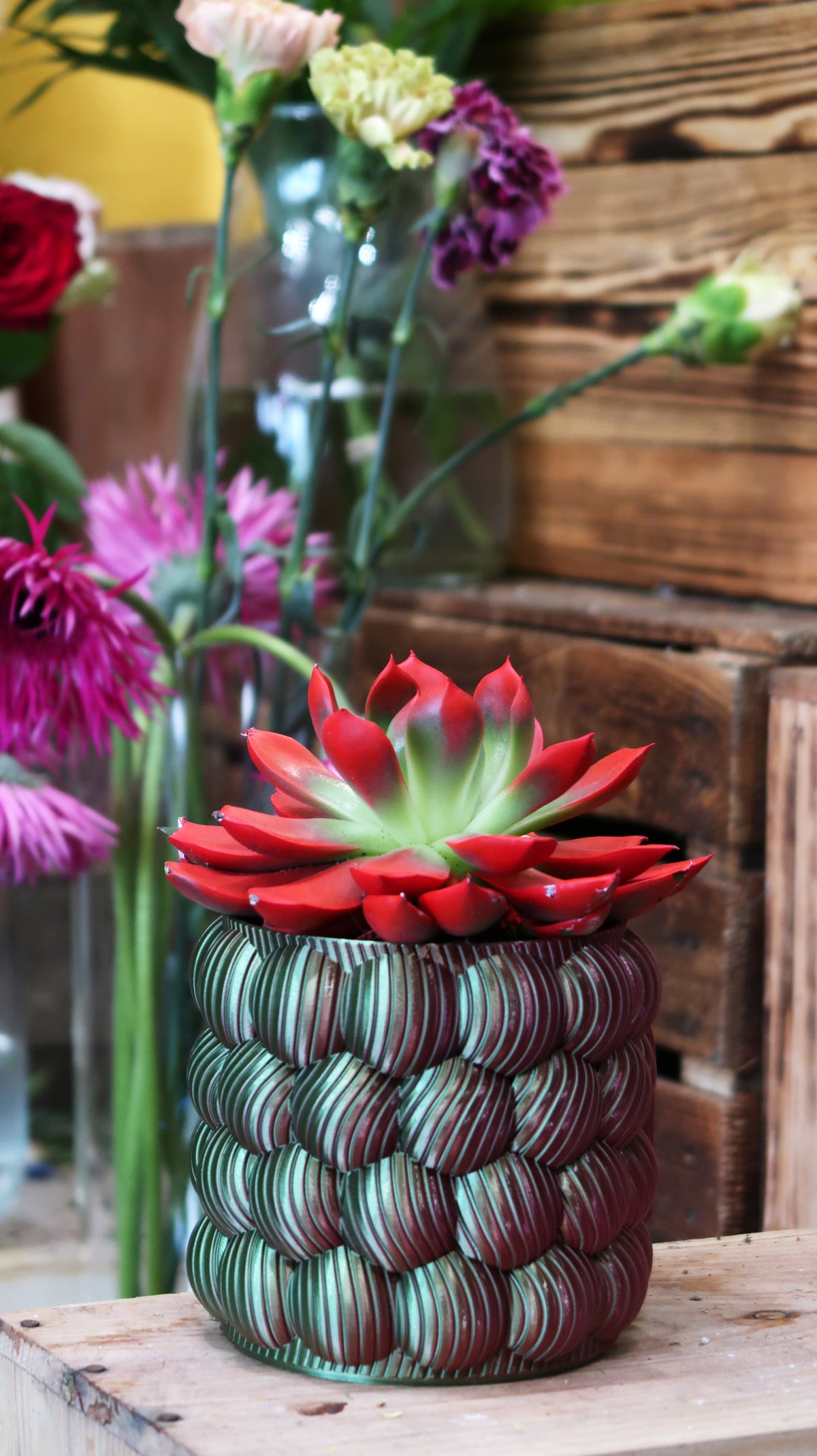 Jardinière Murale | Cache-Pot Design