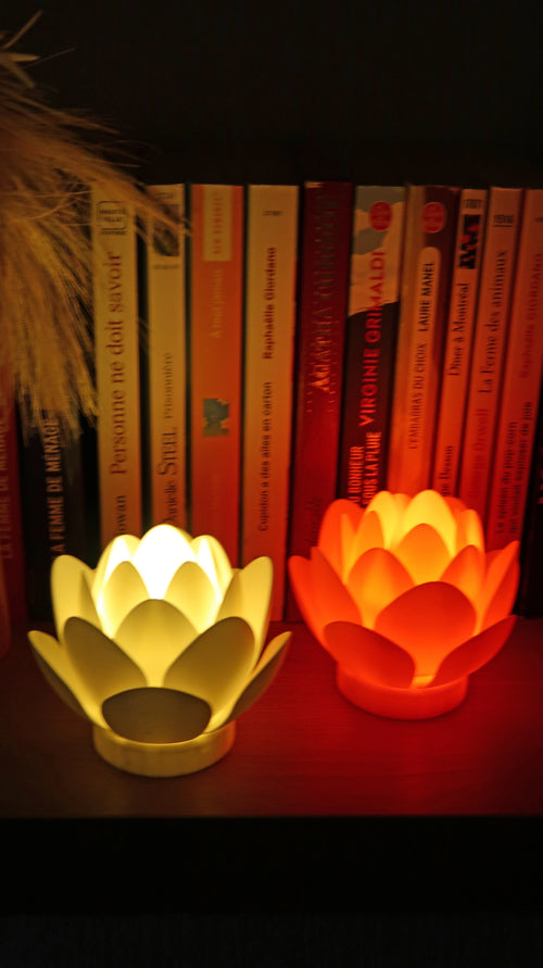 Fleur de Lotus Lumineuse